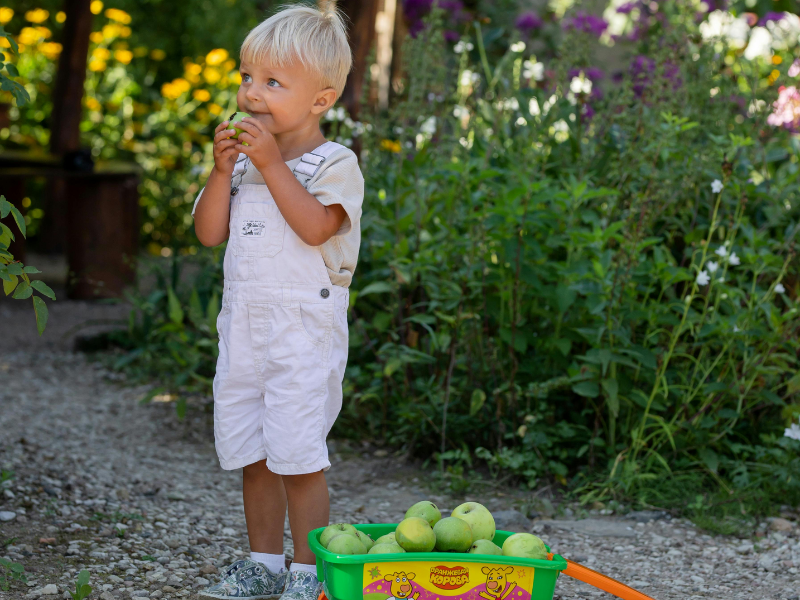 Jeune garçon mangeant une pomme